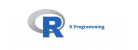 R Programming